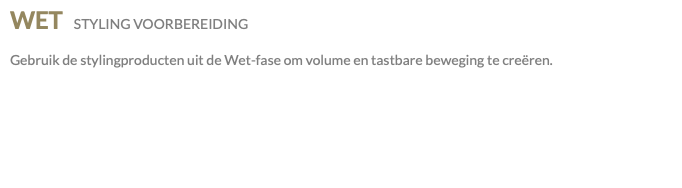 WET STYLING VOORBEREIDING Gebruik de stylingproducten uit de Wet-fase om volume en tastbare beweging te creëren.