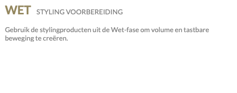 WET STYLING VOORBEREIDING Gebruik de stylingproducten uit de Wet-fase om volume en tastbare beweging te creëren.