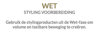 WET STYLING VOORBEREIDING Gebruik de stylingproducten uit de Wet-fase om volume en tastbare beweging te creëren.